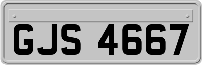 GJS4667