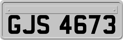 GJS4673