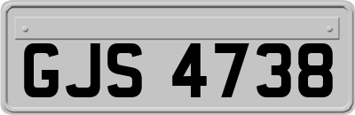 GJS4738