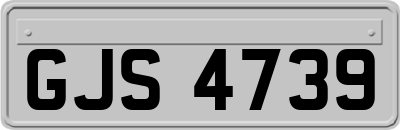 GJS4739