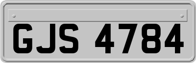 GJS4784
