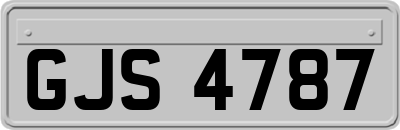 GJS4787