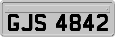 GJS4842