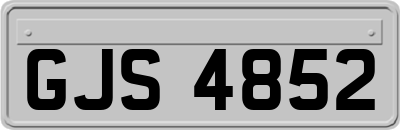 GJS4852