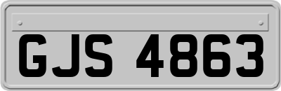 GJS4863