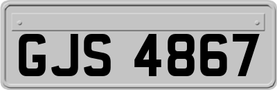 GJS4867