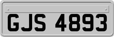 GJS4893