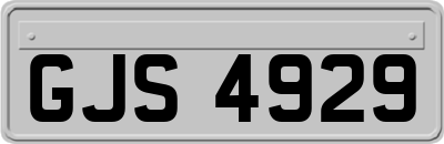 GJS4929