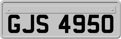 GJS4950