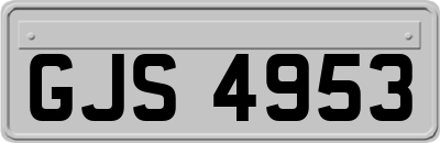 GJS4953