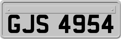 GJS4954