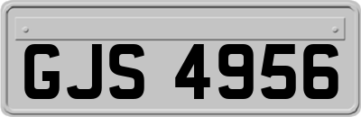GJS4956