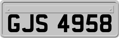 GJS4958