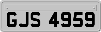 GJS4959