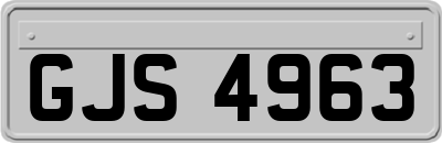 GJS4963