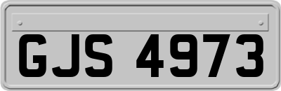 GJS4973