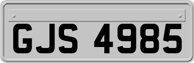 GJS4985