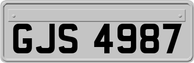 GJS4987