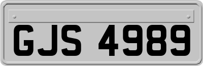GJS4989