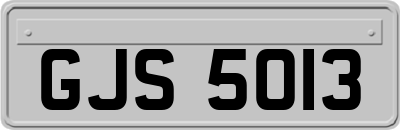 GJS5013