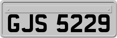 GJS5229