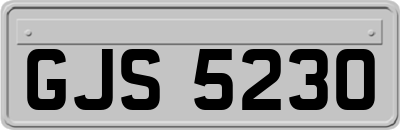 GJS5230