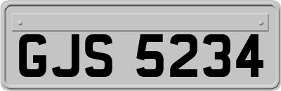 GJS5234
