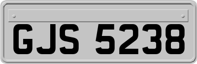 GJS5238