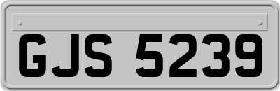 GJS5239