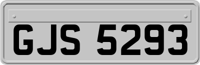 GJS5293