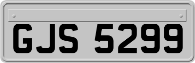 GJS5299