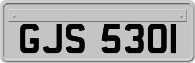 GJS5301