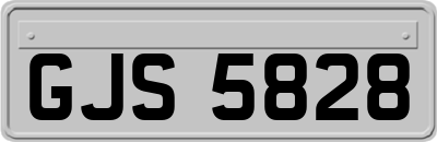 GJS5828