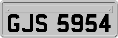 GJS5954