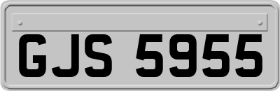 GJS5955