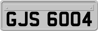GJS6004