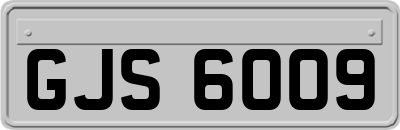 GJS6009