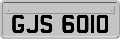GJS6010