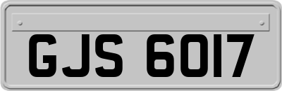 GJS6017