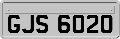 GJS6020