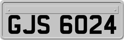 GJS6024