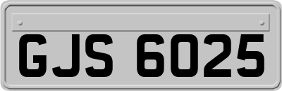 GJS6025