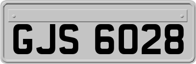 GJS6028