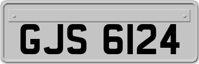 GJS6124