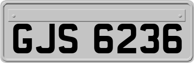 GJS6236