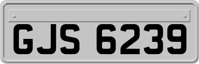 GJS6239