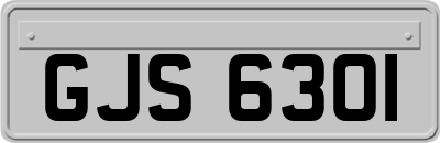 GJS6301
