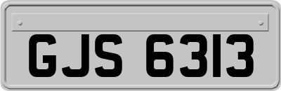 GJS6313