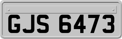 GJS6473