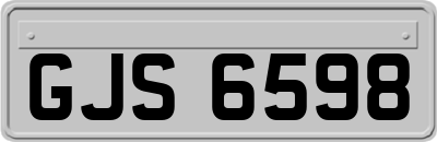 GJS6598